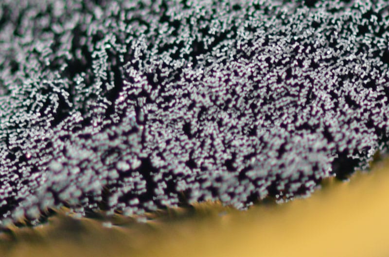 Flat-Silk-Raw-Material