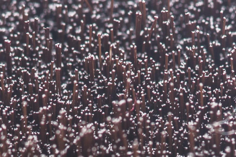 Star-shaped-filament